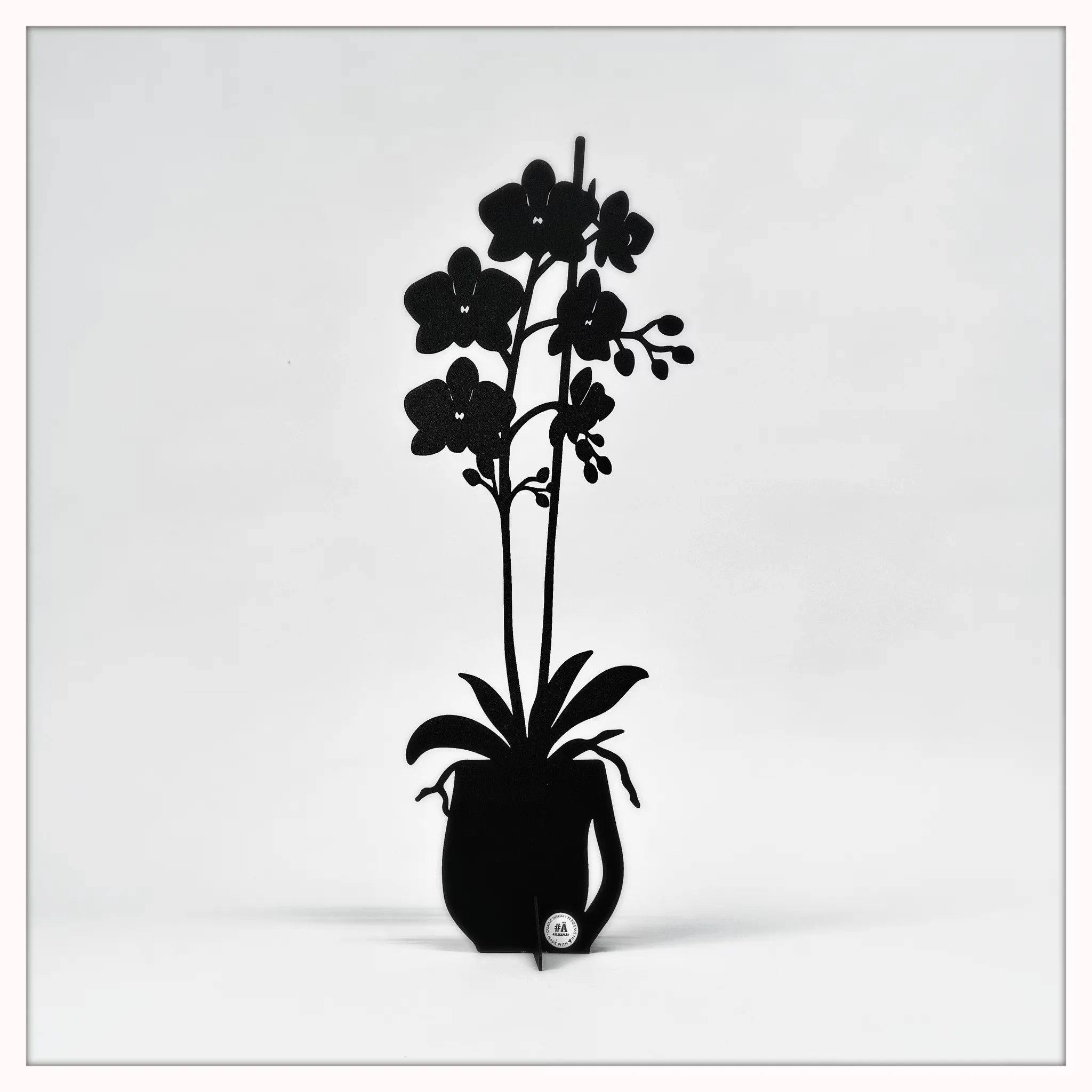 Ny orkidé - INFINITY